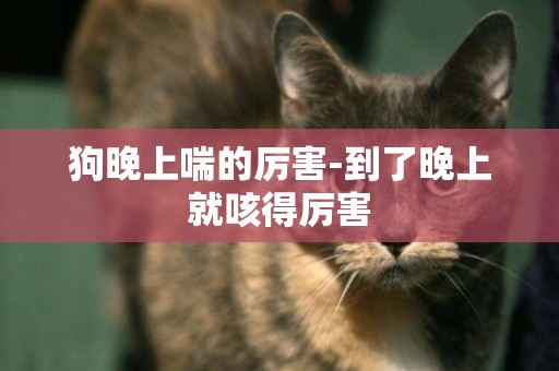 狗晚上喘的厲害-到了晚上就咳得厲害