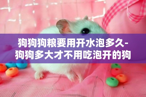 狗狗狗糧要用開水泡多久-狗狗多大才不用吃泡開的狗糧