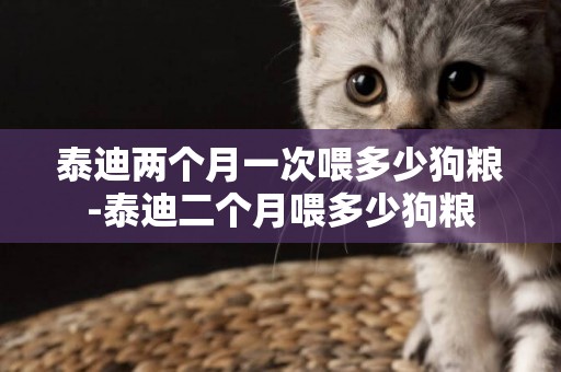 泰迪兩個月一次喂多少狗糧-泰迪二個月喂多少狗糧