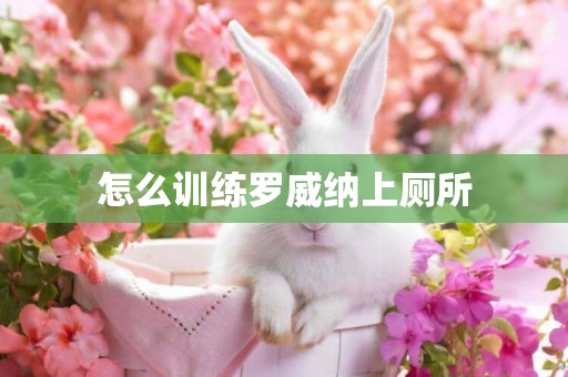 怎么訓練羅威納上廁所