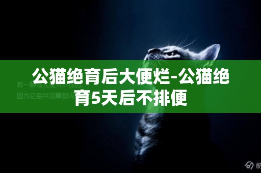 公貓絕育后大便爛-公貓絕育5天后不排便