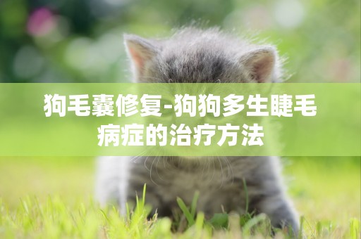 狗毛囊修復-狗狗多生睫毛病癥的治療方法