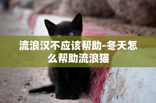 流浪漢不應該幫助-冬天怎么幫助流浪貓