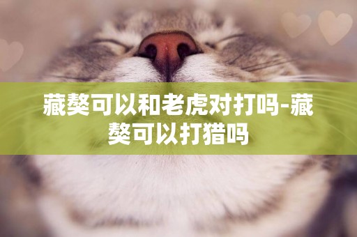 藏獒可以和老虎對打嗎-藏獒可以打獵嗎