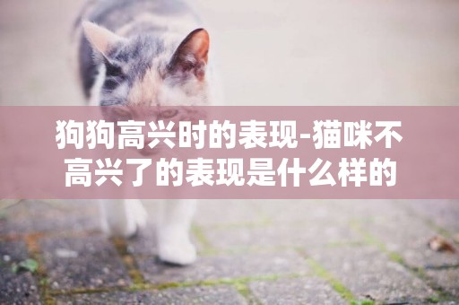 狗狗高興時的表現-貓咪不高興了的表現是什么樣的
