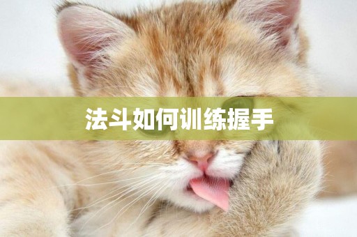 法斗如何訓練握手