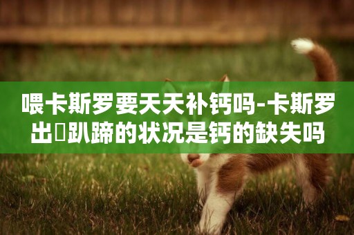 喂卡斯羅要天天補鈣嗎-卡斯羅出現趴蹄的狀況是鈣的缺失嗎