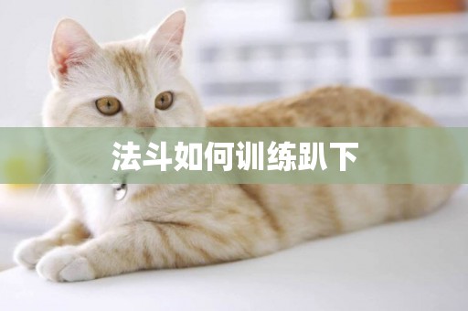法斗如何訓練趴下