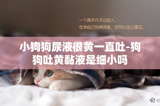 小狗狗尿液很黃一直吐-狗狗吐黃黏液是細小嗎