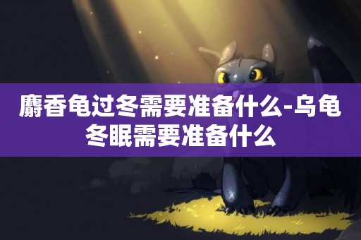 麝香龜過冬需要準備什么-烏龜冬眠需要準備什么