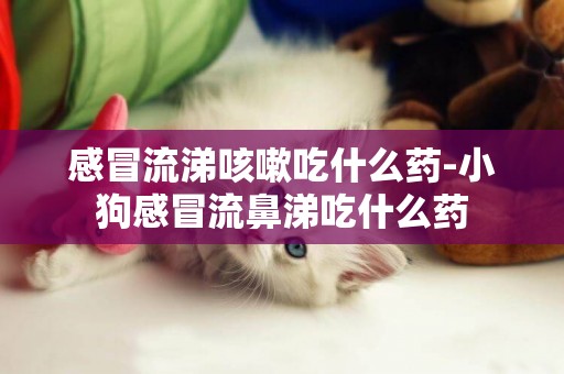 感冒流涕咳嗽吃什么藥-小狗感冒流鼻涕吃什么藥