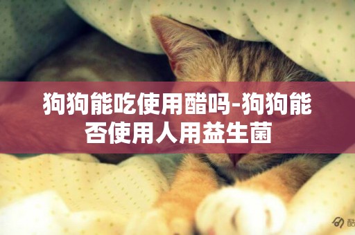 狗狗能吃使用醋嗎-狗狗能否使用人用益生菌