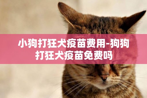 小狗打狂犬疫苗費用-狗狗打狂犬疫苗免費嗎