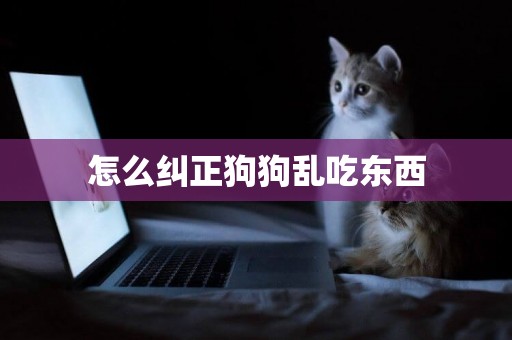 怎么糾正狗狗亂吃東西