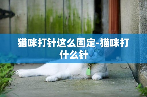 貓咪打針這么固定-貓咪打什么針