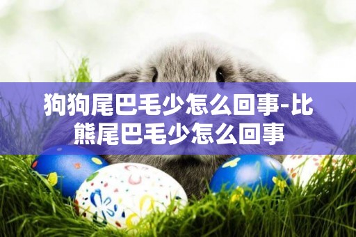 狗狗尾巴毛少怎么回事-比熊尾巴毛少怎么回事