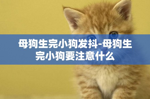 母狗生完小狗發抖-母狗生完小狗要注意什么
