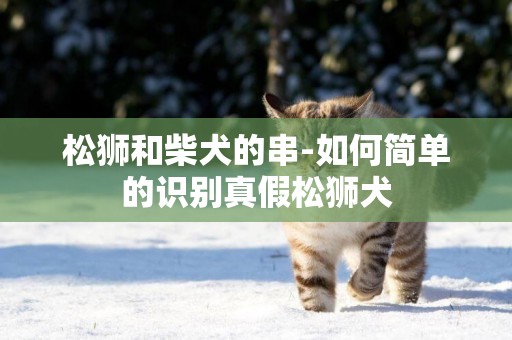 松獅和柴犬的串-如何簡單的識別真假松獅犬
