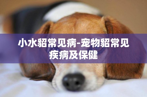 小水貂常見病-寵物貂常見疾病及保健