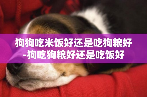 狗狗吃米飯好還是吃狗糧好-狗吃狗糧好還是吃飯好