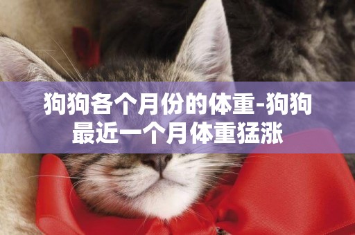 狗狗各個月份的體重-狗狗最近一個月體重猛漲