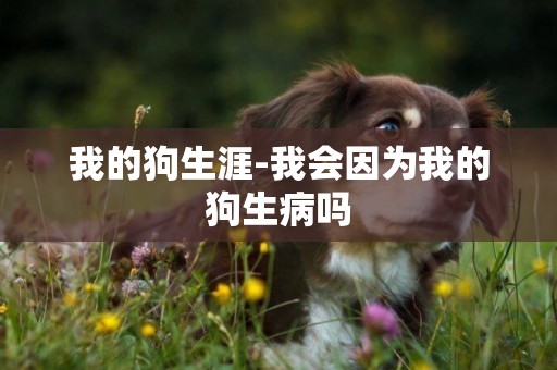 我的狗生涯-我會因為我的狗生病嗎