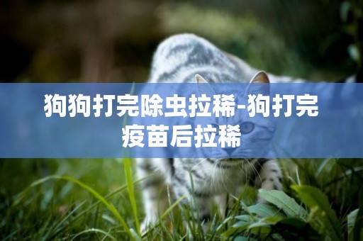 狗狗打完除蟲拉稀-狗打完疫苗后拉稀