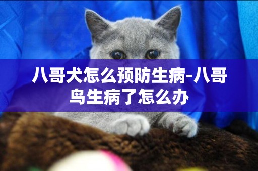 八哥犬怎么預防生病-八哥鳥生病了怎么辦