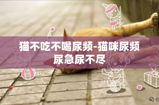 貓不吃不喝尿頻-貓咪尿頻尿急尿不盡