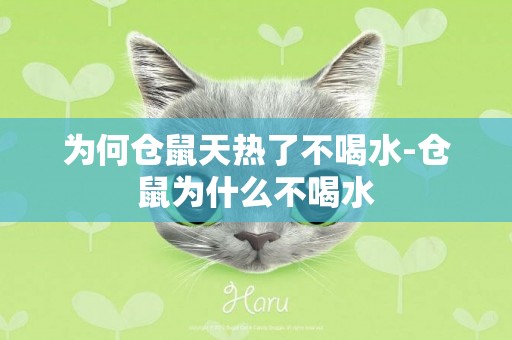 為何倉鼠天熱了不喝水-倉鼠為什么不喝水