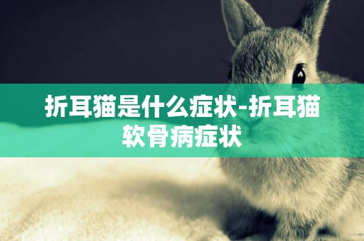 折耳貓是什么癥狀-折耳貓軟骨病癥狀