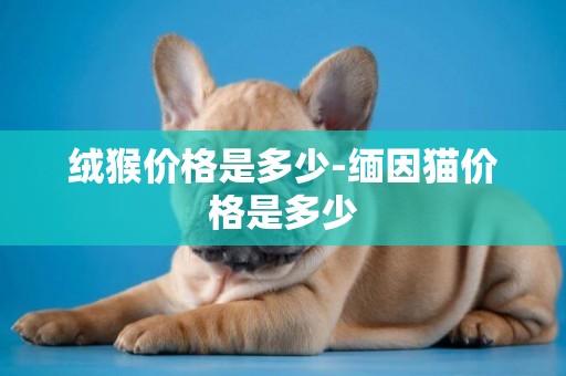絨猴價格是多少-緬因貓價格是多少
