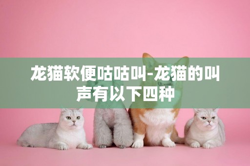 龍貓軟便咕咕叫-龍貓的叫聲有以下四種