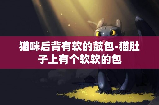 貓咪后背有軟的鼓包-貓肚子上有個軟軟的包