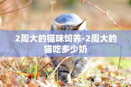 2周大的貓咪飼養-2周大的貓吃多少奶