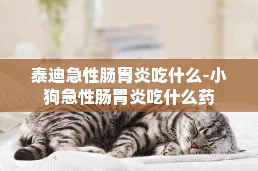 泰迪急性腸胃炎吃什么-小狗急性腸胃炎吃什么藥