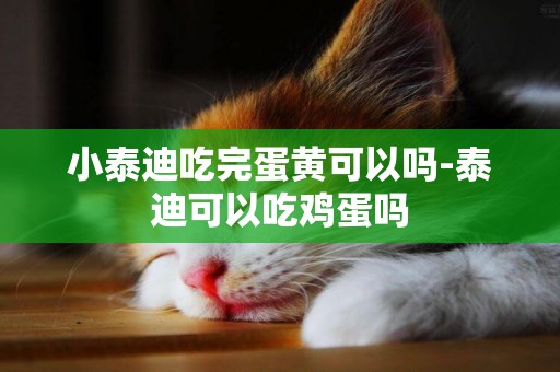 小泰迪吃完蛋黃可以嗎-泰迪可以吃雞蛋嗎