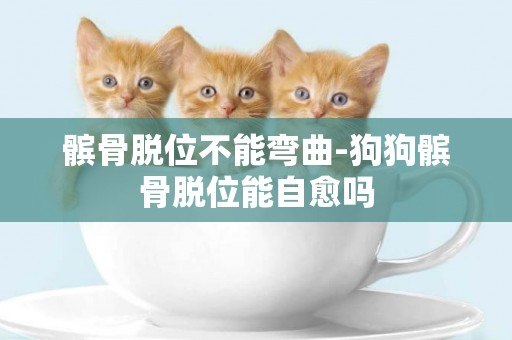 髕骨脫位不能彎曲-狗狗髕骨脫位能自愈嗎