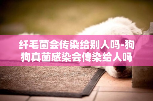 纖毛菌會傳染給別人嗎-狗狗真菌感染會傳染給人嗎