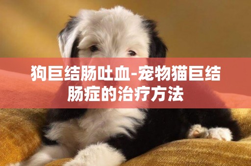 狗巨結腸吐血-寵物貓巨結腸癥的治療方法