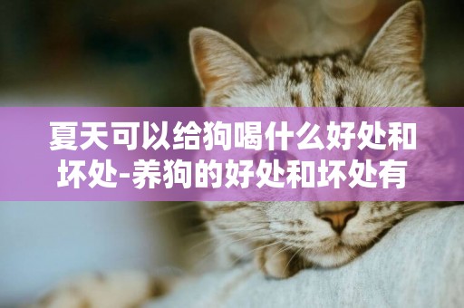 夏天可以給狗喝什么好處和壞處-養狗的好處和壞處有什么