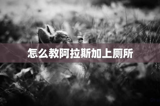 怎么教阿拉斯加上廁所
