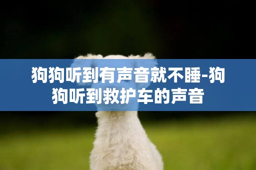 狗狗聽到有聲音就不睡-狗狗聽到救護車的聲音