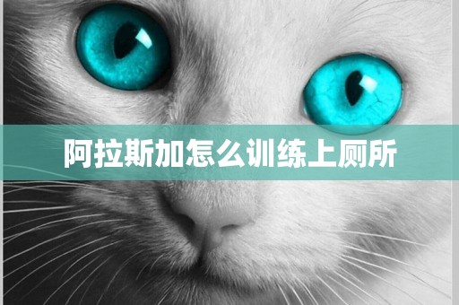 阿拉斯加怎么訓練上廁所