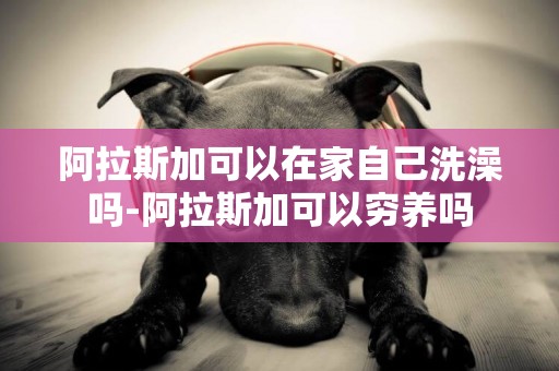 阿拉斯加可以在家自己洗澡嗎-阿拉斯加可以窮養嗎