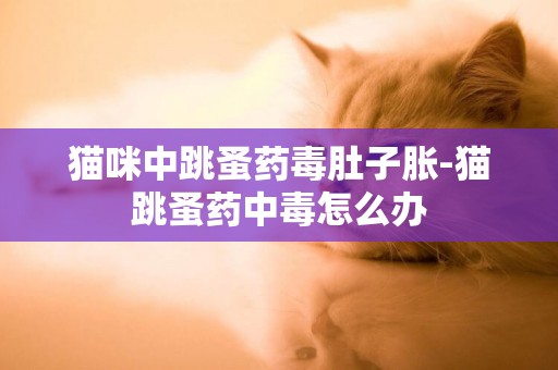 貓咪中跳蚤藥毒肚子脹-貓跳蚤藥中毒怎么辦
