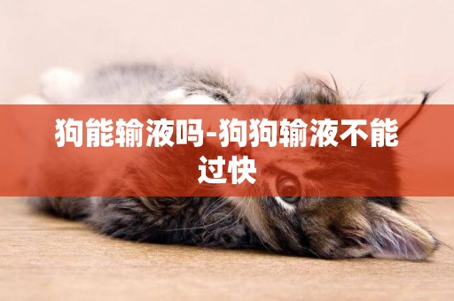 狗能輸液嗎-狗狗輸液不能過快