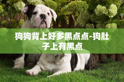 狗狗背上好多黑點點-狗肚子上有黑點
