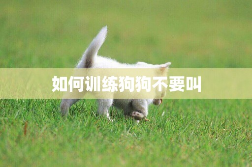 如何訓練狗狗不要叫