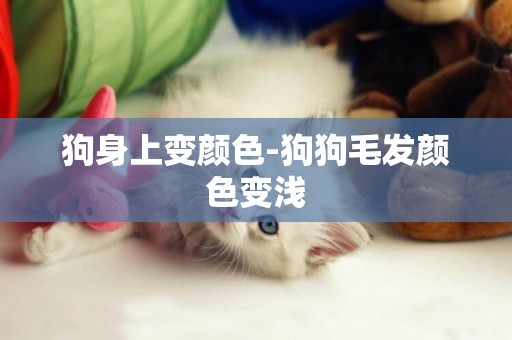 狗身上變顏色-狗狗毛發顏色變淺